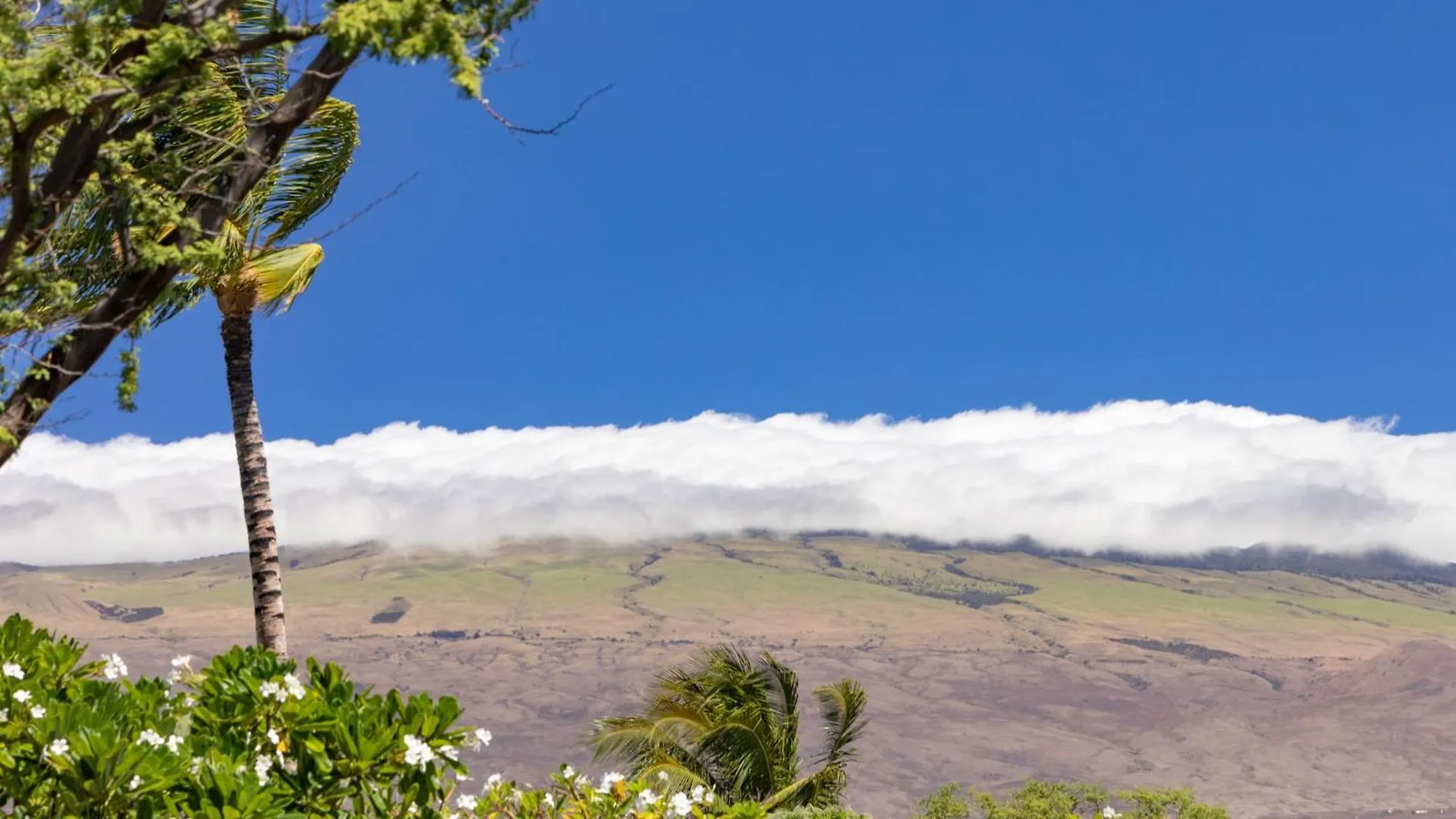 Plumeria Hale Exquisite 4Br Kamilo Home With Bikes And Beach Gear Waikoloa 0*,